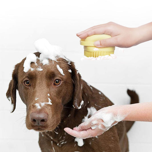 The Soapy Brush