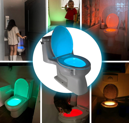 The ToiLight
