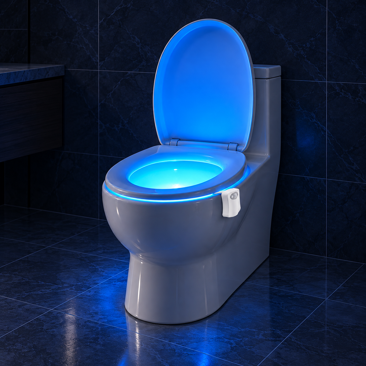 The ToiLight