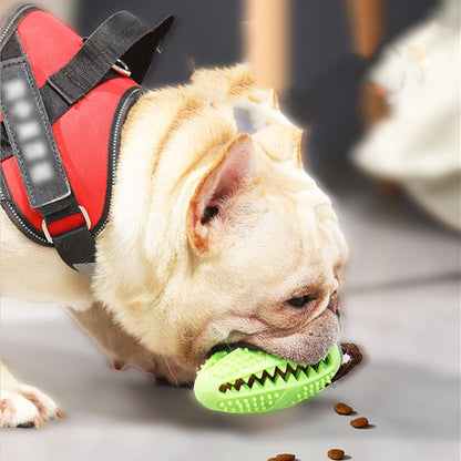 The Doggy Toothbrush