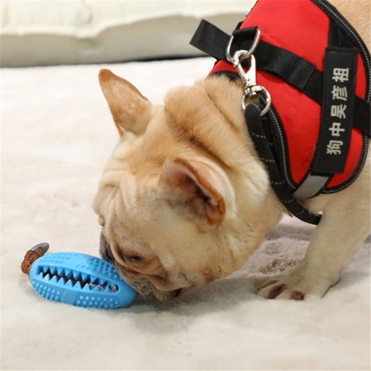 The Doggy Toothbrush