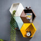 The Hexagon Wall Shelf
